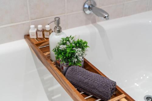 a bathroom shelf with a bottle of soap and plants at Gordons Village View in Gordonʼs Bay