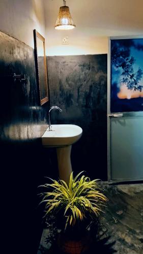 a bathroom with a sink and a potted plant at Relax point cabana & restaurant in Netolpitiya