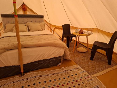 En eller flere senge i et værelse på ESCAPE cAMp