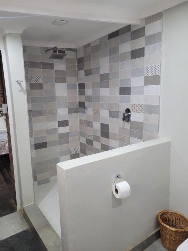 a bathroom with a shower with a roll of toilet paper at Lionsgate Estate Cottage in Dargle