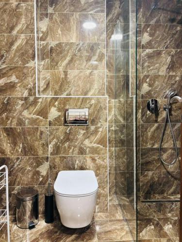 a bathroom with a toilet and a shower at Sunshine in Budva