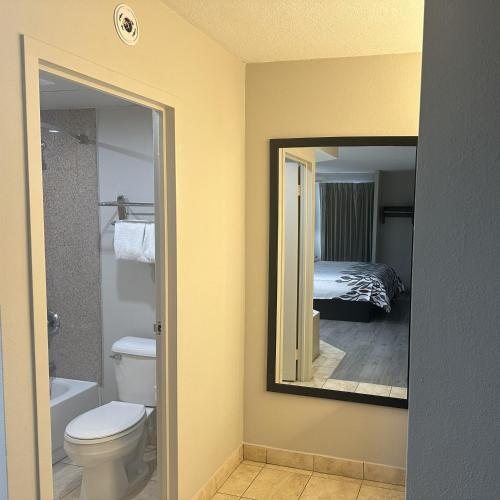 a bathroom with a toilet and a mirror at Red Roof Inn Media, PA in Media