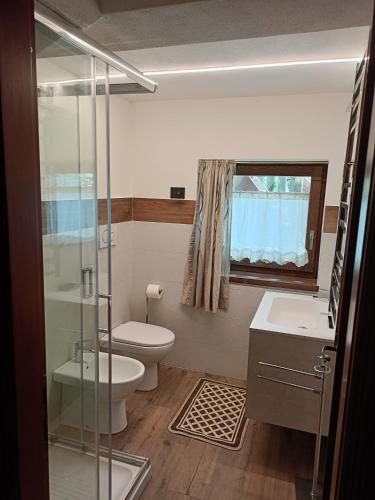 a bathroom with a toilet and a sink and a shower at La Boschera in Champoluc