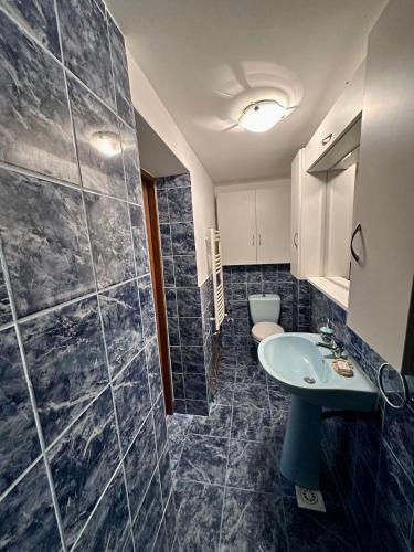 a bathroom with a sink and a toilet at Căsuța Tenu in Craiova