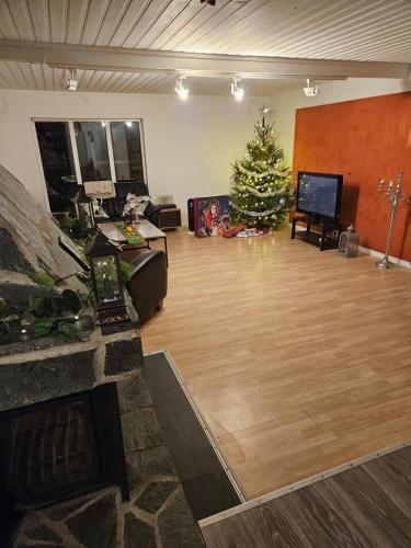 a living room with a christmas tree and a television at Toarp Inn free parking in Malmö