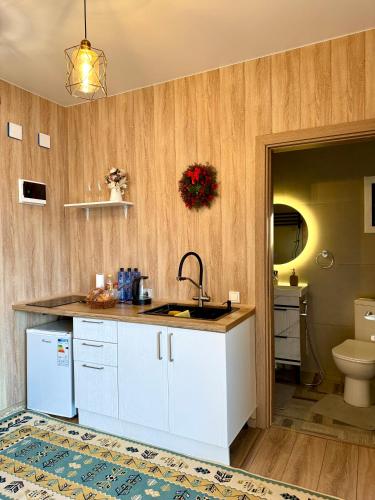 een keuken met witte kasten, een wastafel en een toilet bij Darkhan Tau in Alma-Ata