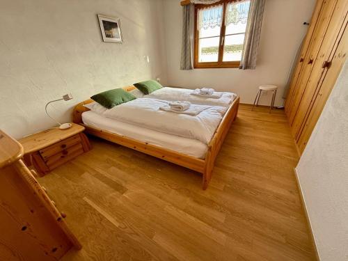 Light Alpine Apartment with View Heart of Flims