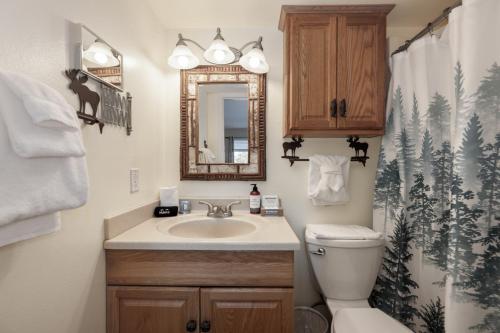 a bathroom with a sink and a toilet and a mirror at Comfortable Mountain Getaway near Winter Park in Fraser