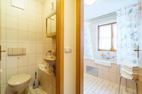 Et badeværelse på Haus Bergidyll 3-Raum-Wohnung Hohenloh