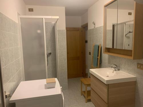 ein Badezimmer mit Dusche, Waschbecken und Spiegel in der Unterkunft Appartamento Ape Verde in Piano dʼArta