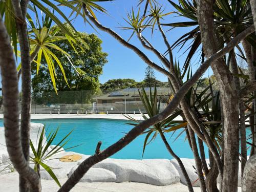 a swimming pool surrounded by trees and a building at Palacete Beach in Culburra Beach