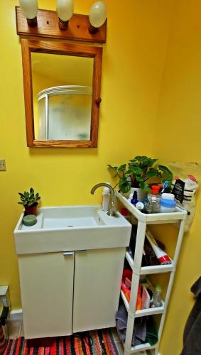 a bathroom with a white sink and a mirror at Point Breeze Guest House in Pittsburgh