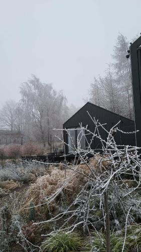 Czarnydomek