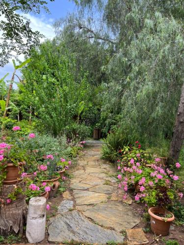 a garden with flowers and a stone path at Myland Nature in Cıralı