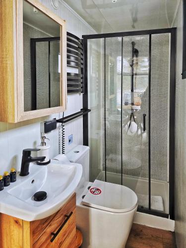 a bathroom with a toilet and a sink and a shower at Nad Narvią in Serock