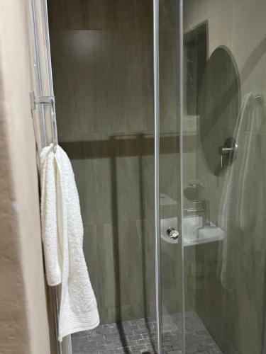 a shower with a glass door and a sink at The Umbrella Shade in Ulundi