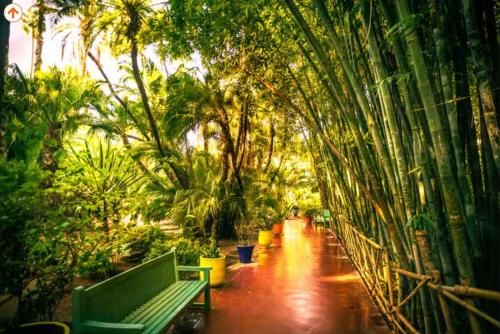 eine grüne Bank in einem Park mit Palmen in der Unterkunft F2 Luxury & Light in Oulad Akkou