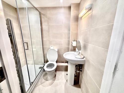 a bathroom with a toilet and a sink and a shower at Bright Cozy 2 bedroom Apartment in Oxford in Oxford