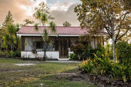 Κήπος έξω από το Pine Ridge Lodge Belize