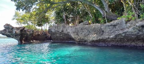 Naturlandskabet i nærheden af campingpladsen