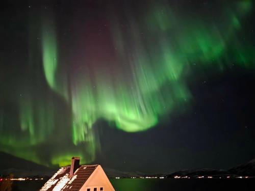 ein Bild der Nordlichter am Himmel über einem Haus in der Unterkunft Nordic Sauna Retreat in Tromsø