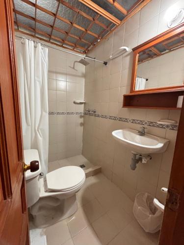 a bathroom with a toilet and a sink at El Prado EcoHotel in Montenegro