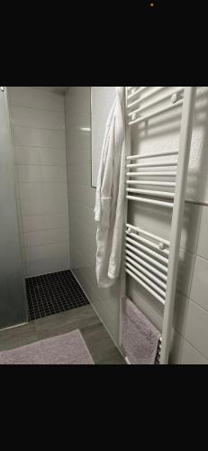 a bathroom with a shower with a towel hanging on a rack at 1 Zimmer Häuschen in Itzehoe