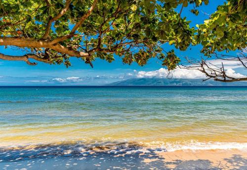 Galeriebild der Unterkunft Kaanapali Shores in Lahaina