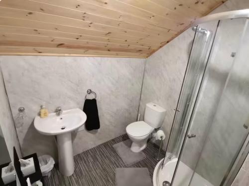 a bathroom with a toilet and a sink and a shower at Glenariff Forest Hideaway in Glenariff