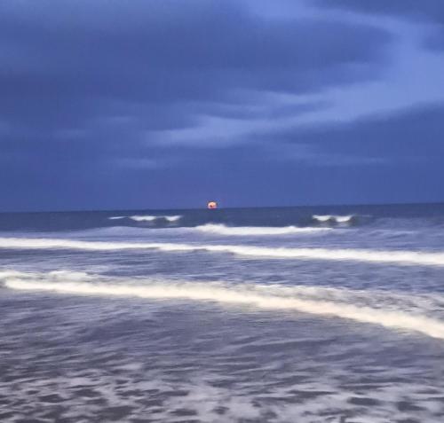 المناظر الطبيعية بالقرب من الشقة