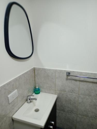 a bathroom with a sink and a mirror at Paraje Sur in Ushuaia