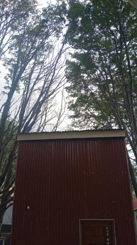 a smallshed with trees in the background at Paraje Sur in Ushuaia