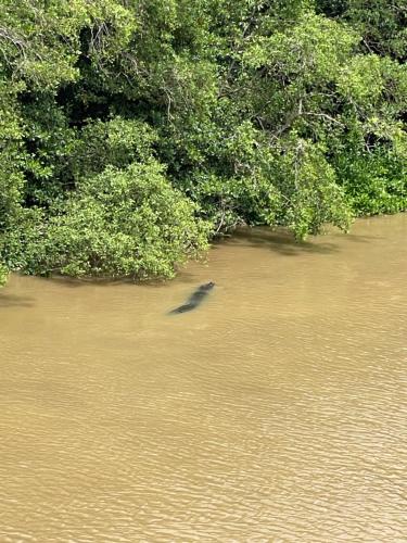 Φυσικό τοπίο κοντά σε αυτό το ξενοδοχείο