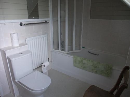 a bathroom with a toilet and a bath tub at Woodway B&B in Blewbury