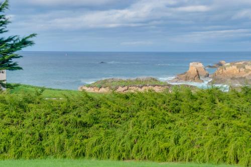 a view of the ocean with rocks and the ocean at Dream Scape in Fort Bragg