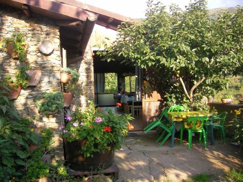 a patio with a table and chairs and a tree at Chalet Su Foxile in Aritzo
