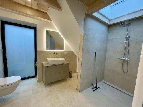 ein Badezimmer mit Dusche, Toilette und Waschbecken in der Unterkunft Luxury holiday home DS11 in Staberdorf