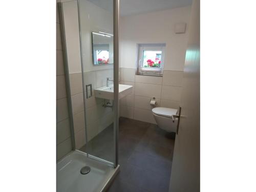 een badkamer met een douche, een toilet en een wastafel bij Wittmar in Medebach Sauerland in Medebach