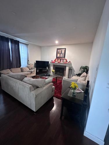 a living room with two couches and a fireplace at Sam Estates in Calgary