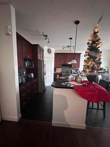 a kitchen with a christmas tree on the counter at Sam Estates in Calgary
