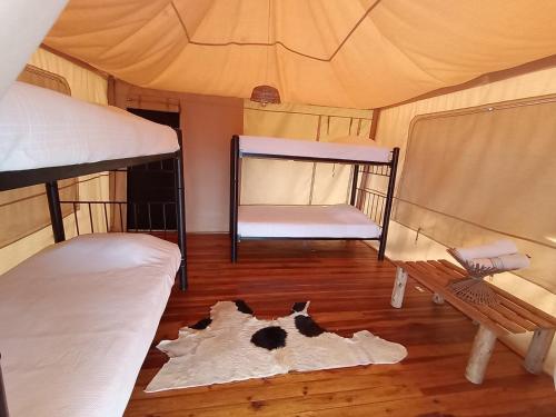 una stanza con due letti a castello e una mucca sdraiata sul pavimento di Glamping Villa de Leyva a Estación El Salto