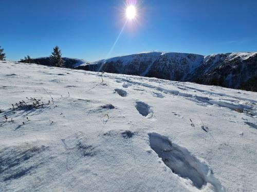 une colline enneigée avec le soleil dans le ciel dans l'établissement le flocon chaud sauna, à La Bresse