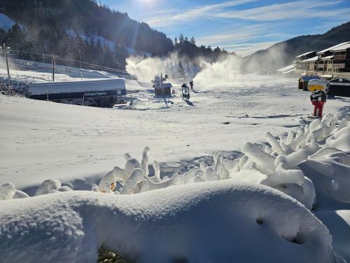 un ensemble de sculptures de neige sur une piste de ski dans l'établissement le flocon chaud sauna, à La Bresse