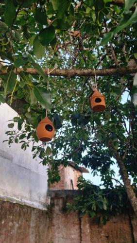 Dieren bij het vakantiehuis of in de buurt