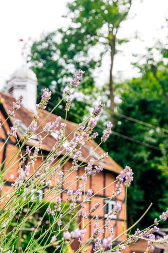 Old Rectory House, Redditchにある庭