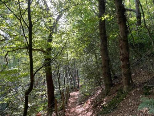 Φυσικό τοπίο κοντά σε αυτό το διαμέρισμα