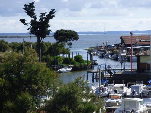 a marina with boats parked in the water at Les Marinas de Cassy in Lanton