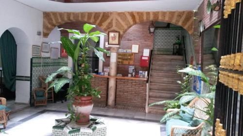 a restaurant with a plant in the middle of a room at Hostal Centro Sol in Cádiz