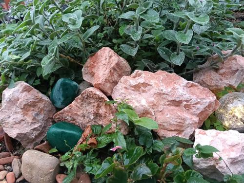 a pile of rocks and plants in a garden at BAz11 in Misaki