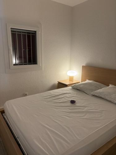 La Grande Motte Appart 4 pers RDJ piscine